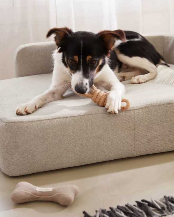 Cama para mascotas tapizada grande