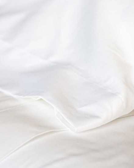 Funda para Almohada 300 hilos 100% algodón 2