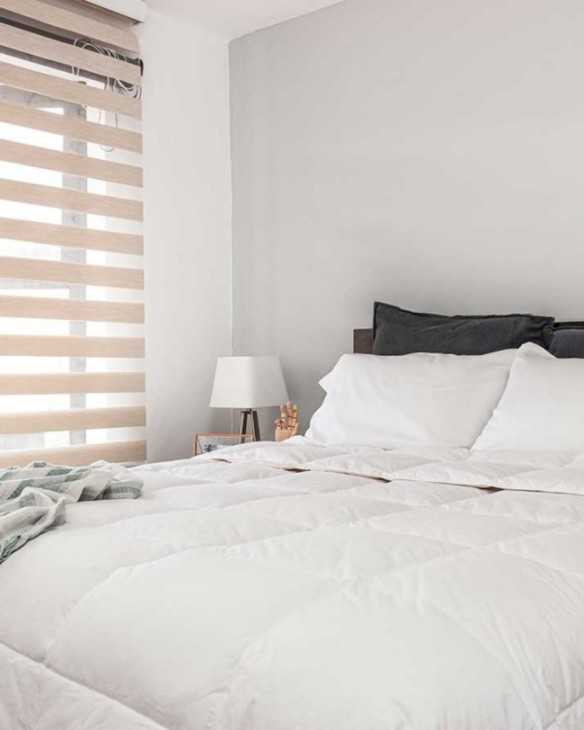 Inserto de plumas de ganso